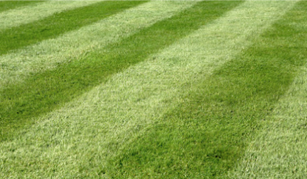 Turfing Middlesbrough